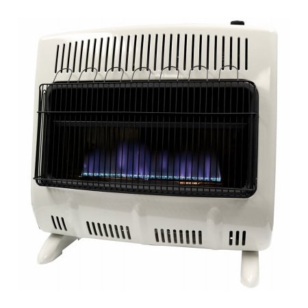 Enerco/Mr. Heater 30K BTU DF BLU Heater F299330